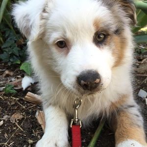 Meet your Posher, Lucie